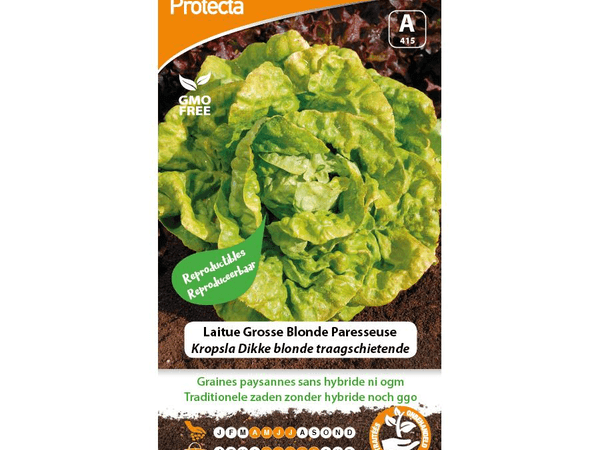 protecta-graines-paysannes-laitue-grosse-blonde-paresseuse.jpg